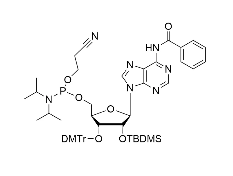 Chemical structure of N6-Benzoyl-2'-O-TBDMS-3'-O-DMTr-adenosine-5'-CE phosphoramidite