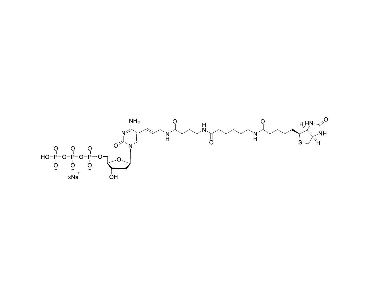 Chemical structure of Biotin-16-dCTP Sodium Salt