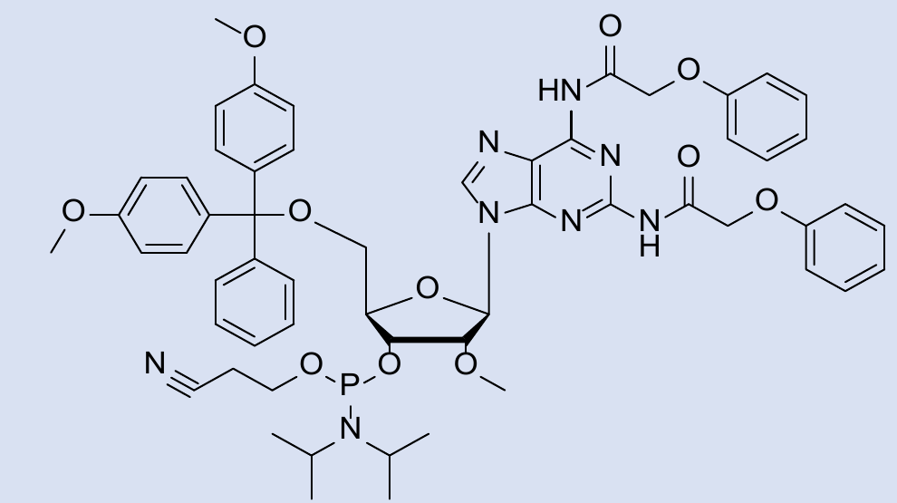 Chemical structure of N2,N6-Diphenoxyacetyl-5'-O-DMTr-2'-O-methyl-2,6-diaminopurine riboside 3'-CE phosphoramidite