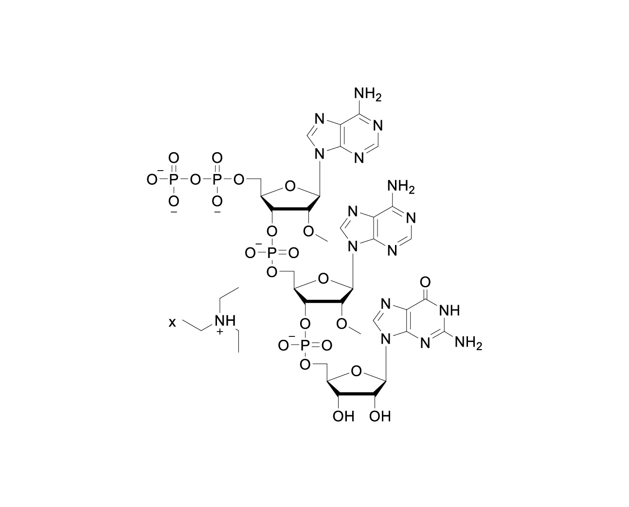 Chemical structure of pp (2'OMe-A)p(2'OMe-A)pG TEA Salt