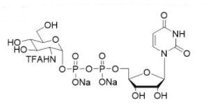 Chemical structure of UDP-N-trifluoroacetylglucosamine disodium salt