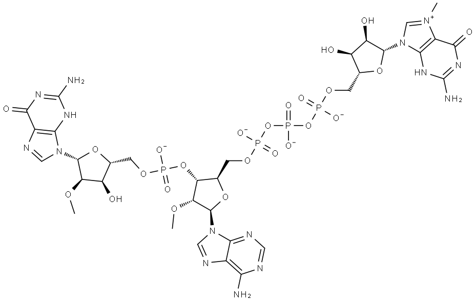 Chemical structure of m7G(5')ppp(5')(2'-OMeA)p(2'-OMeG) ammonium salt