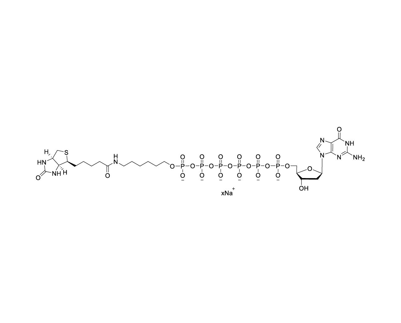 Chemical structure of Biotin-dG6P Sodium Salt