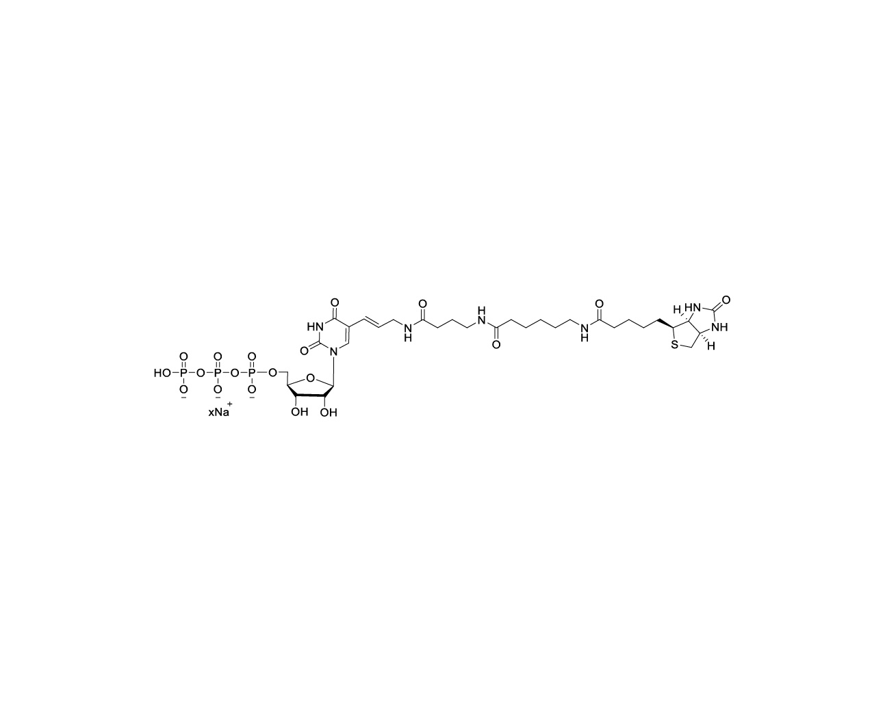 Chemical structure of Biotin-16-UTP Sodium Salt