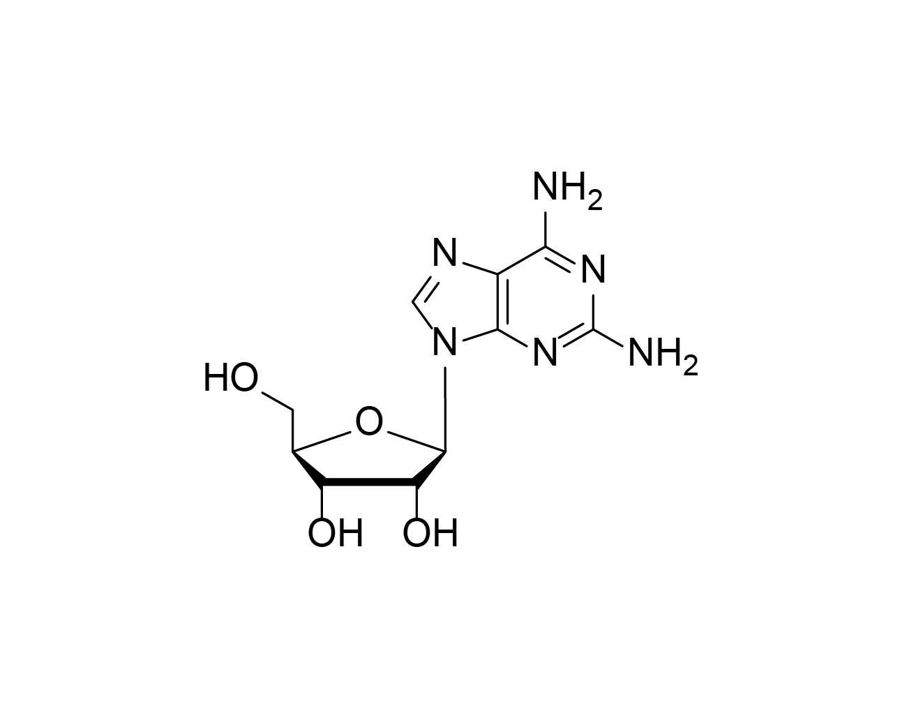 Chemical structure of 2-NH₂-rA