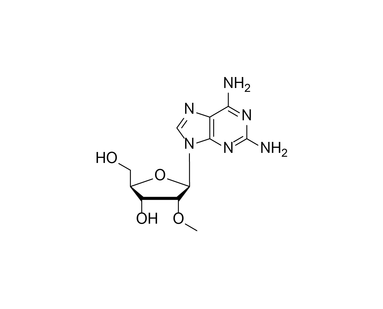 Chemical structure of 2'-O-Me-2-NH₂-rA