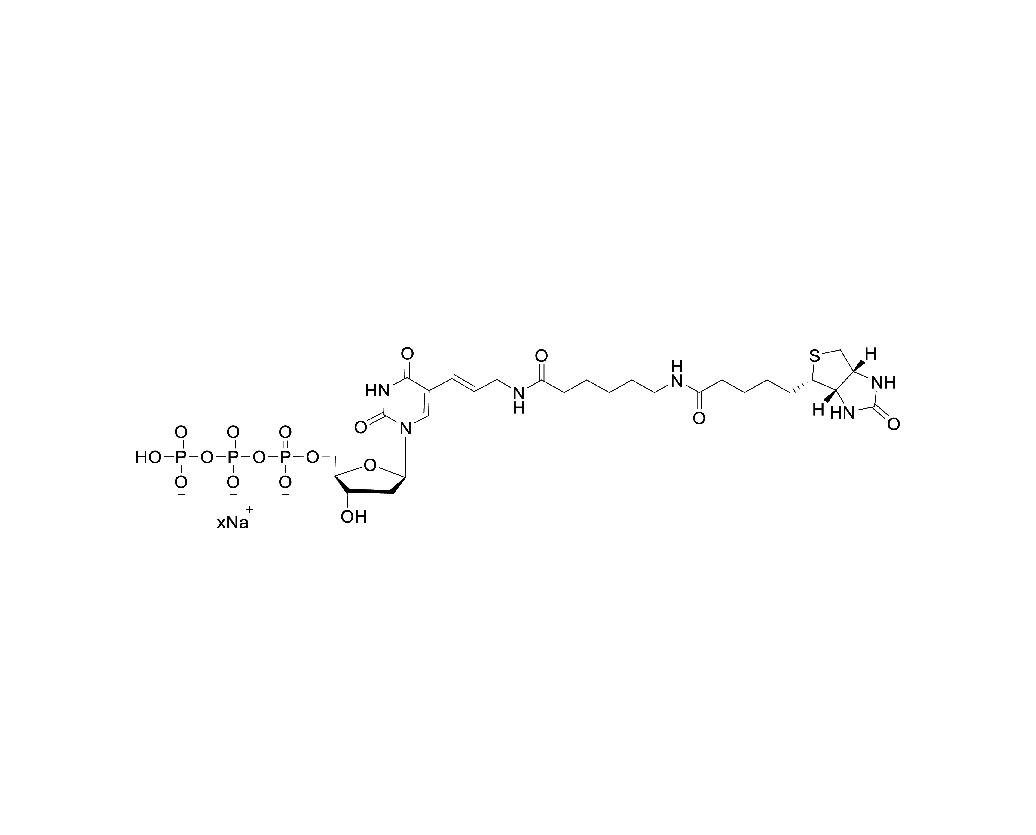 Chemical structure of Biotin-11-dUTP Sodium Salt