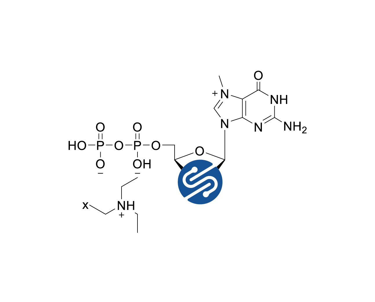 Chemical structure of 2'-F-m7GDP TEA Salt