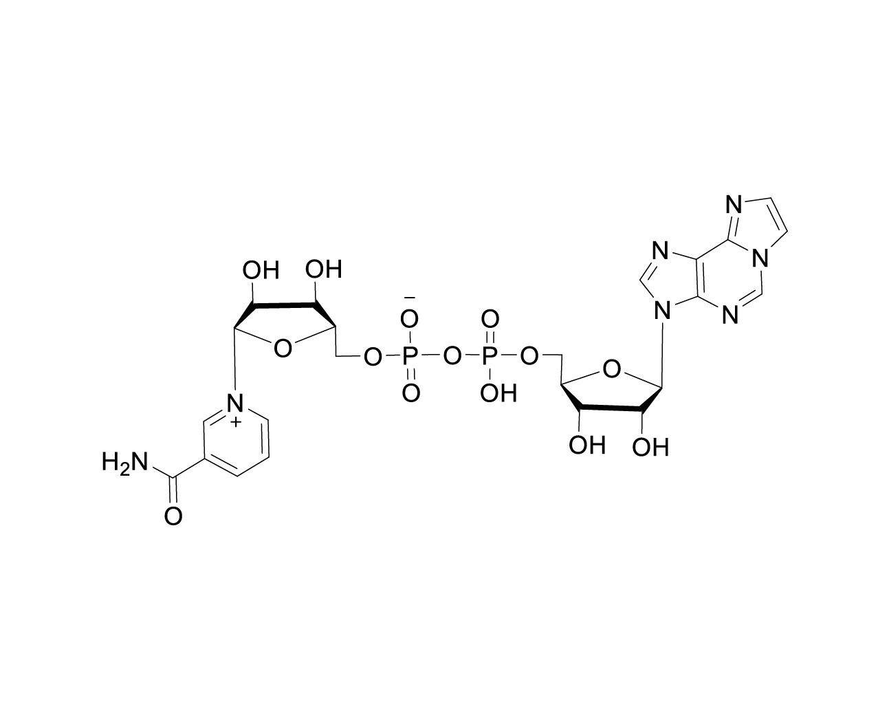 Chemical structure of Nicotinamide 1, N6-ethenoadenine dinucleotide