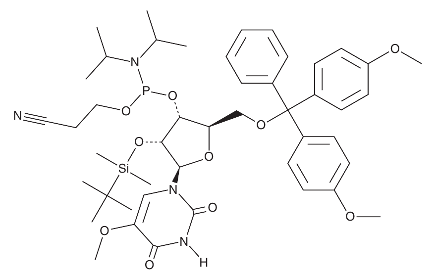 Chemical structure of DMTr-2'-O-TBDMS-5-OMe-rU-3'-CE phosphoramidite